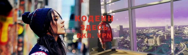 эйфоретик Няндома