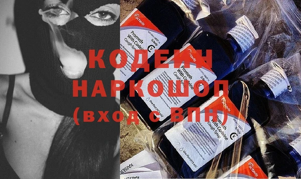 эйфоретик Няндома