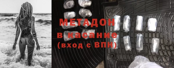 сатива Арсеньев