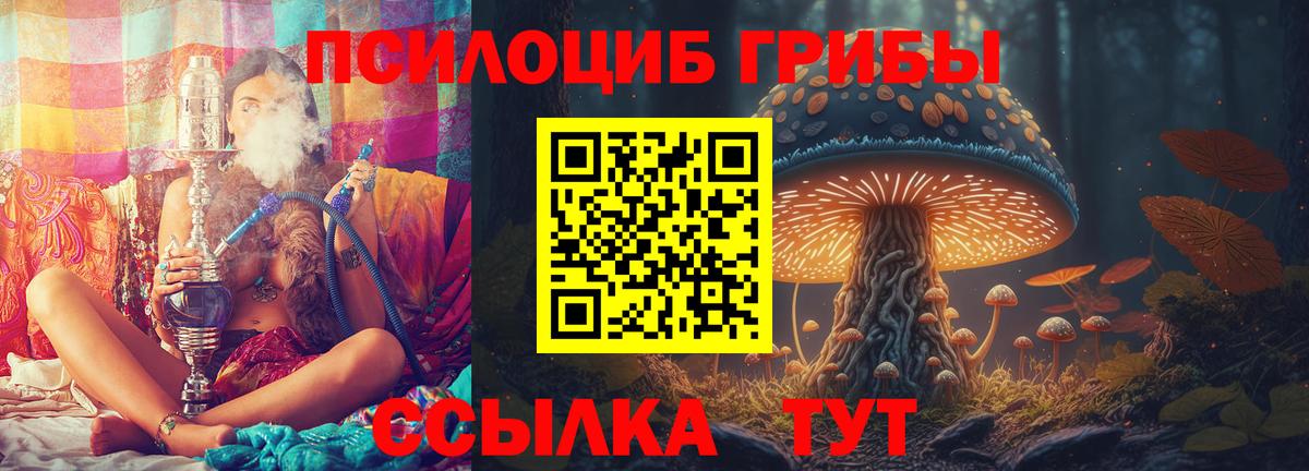Псилоцибиновые грибы мицелий  Галлюциногенные грибы MAGIC MUSHROOMS  купить наркотик  Ульяновск  Вход с VPN 